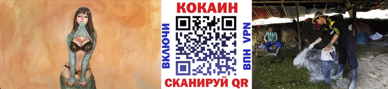 КОКАИН VHQ  Купить где  Сенгилей 