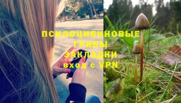mix Алексин