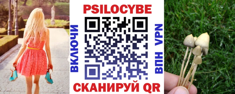 Купить где  Сенгилей  Псилоцибиновые грибы Cubensis 